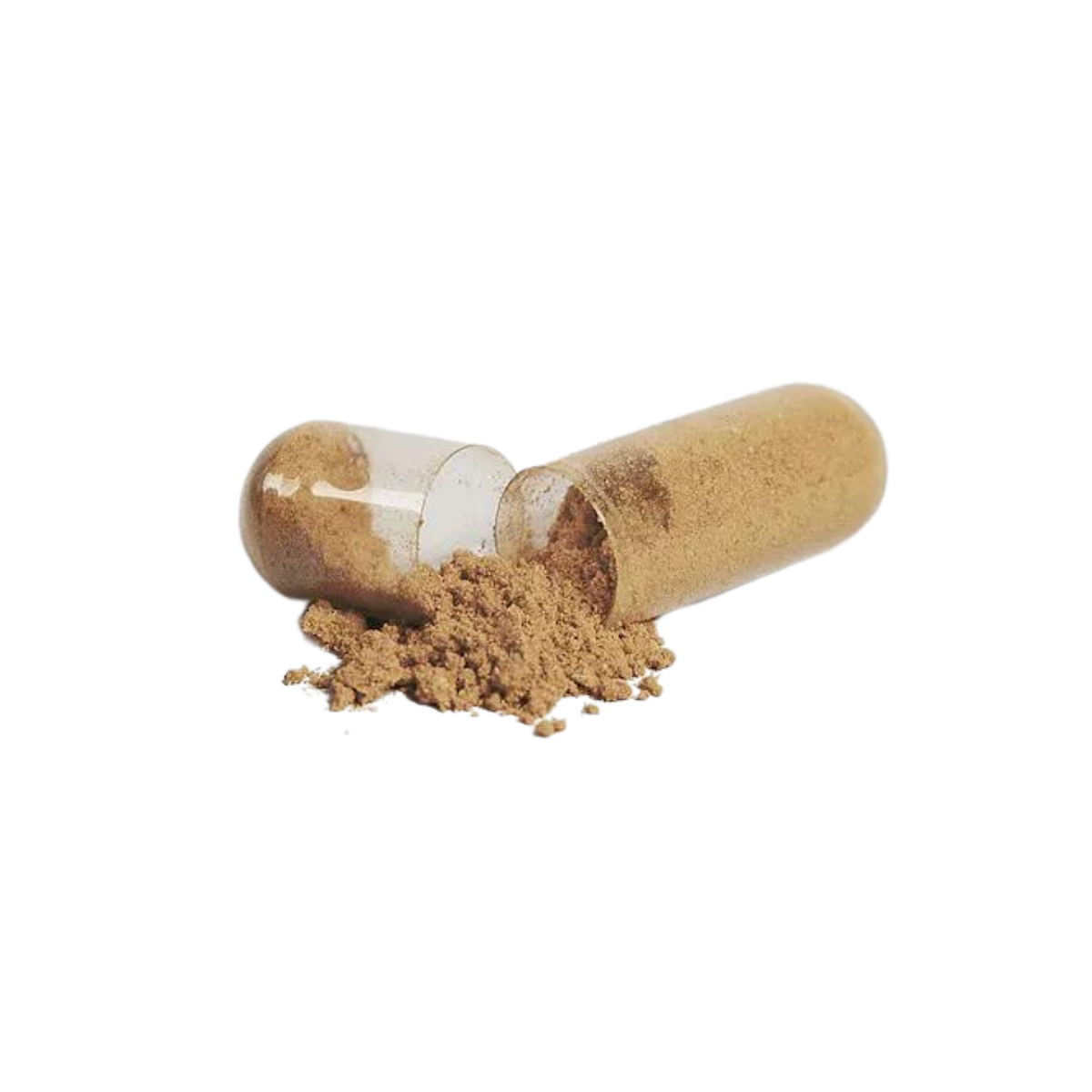 Liver Support